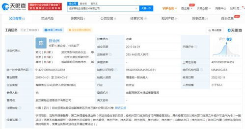 信息系統集成服務的全面解析與未來展望
